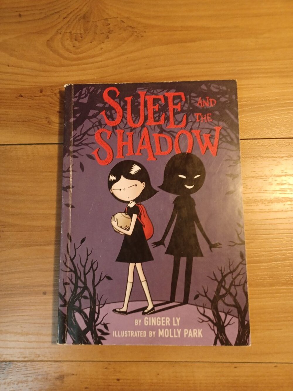Suee And The Shadow Book